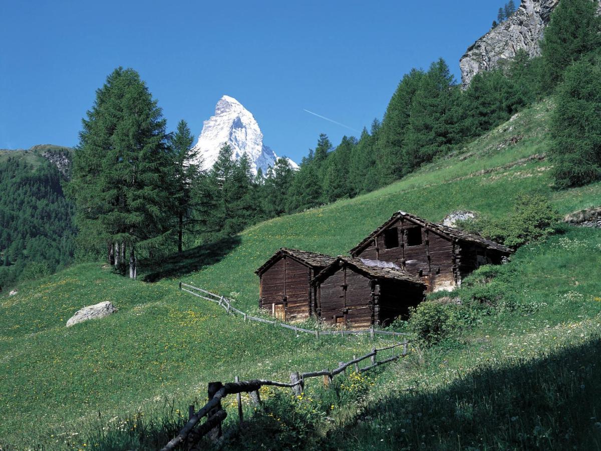 Apartment Aquila By Interhome Zermatt Buitenkant foto